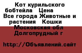 Кот курильского бобтейла › Цена ­ 5 000 - Все города Животные и растения » Кошки   . Московская обл.,Долгопрудный г.